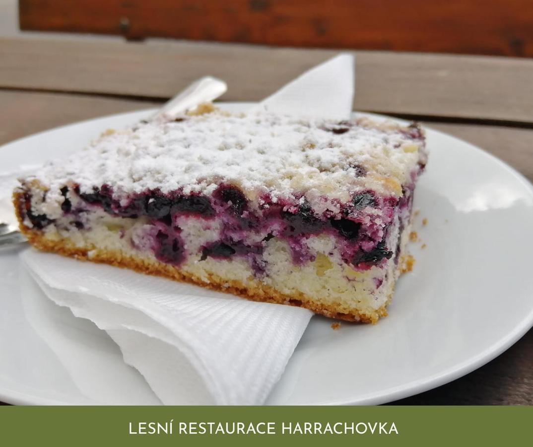 Отель Lesni Restaurace Harrachovka Табор Экстерьер фото